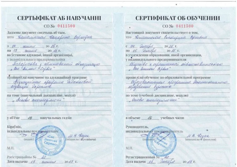 Документ: Кошелинская Е. С.