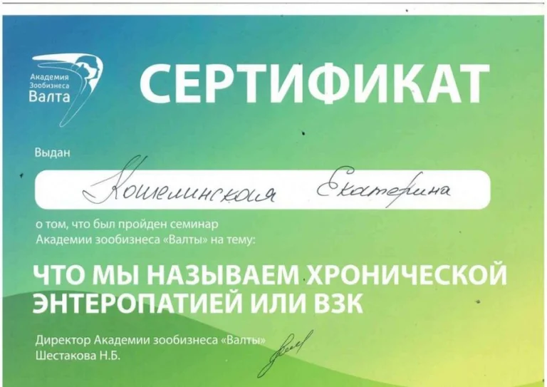 Документ: Кошелинская Е. С.