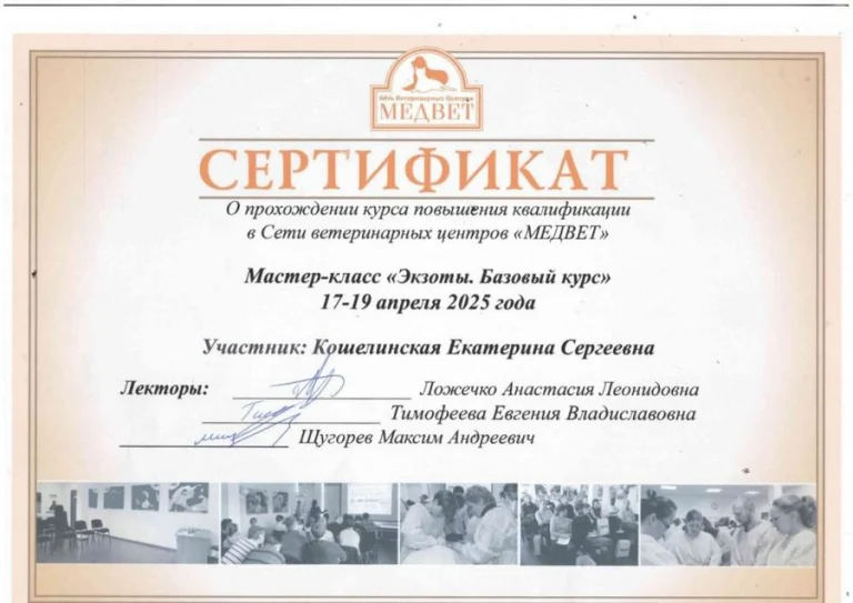 Документ: Кошелинская Е. С.