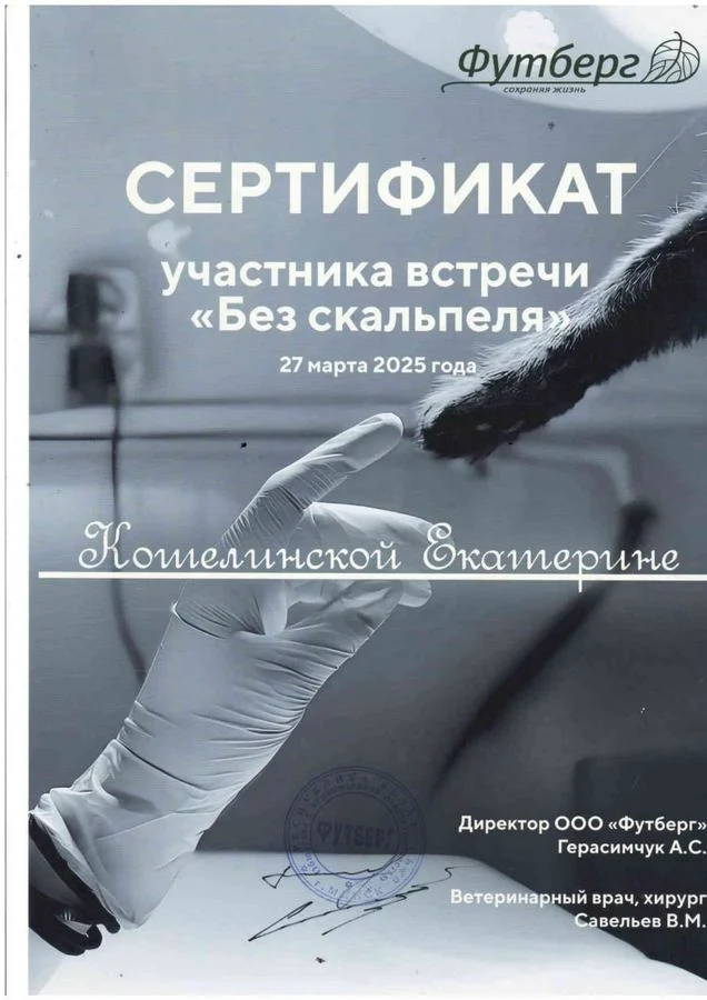 Документ: Кошелинская Е. С.