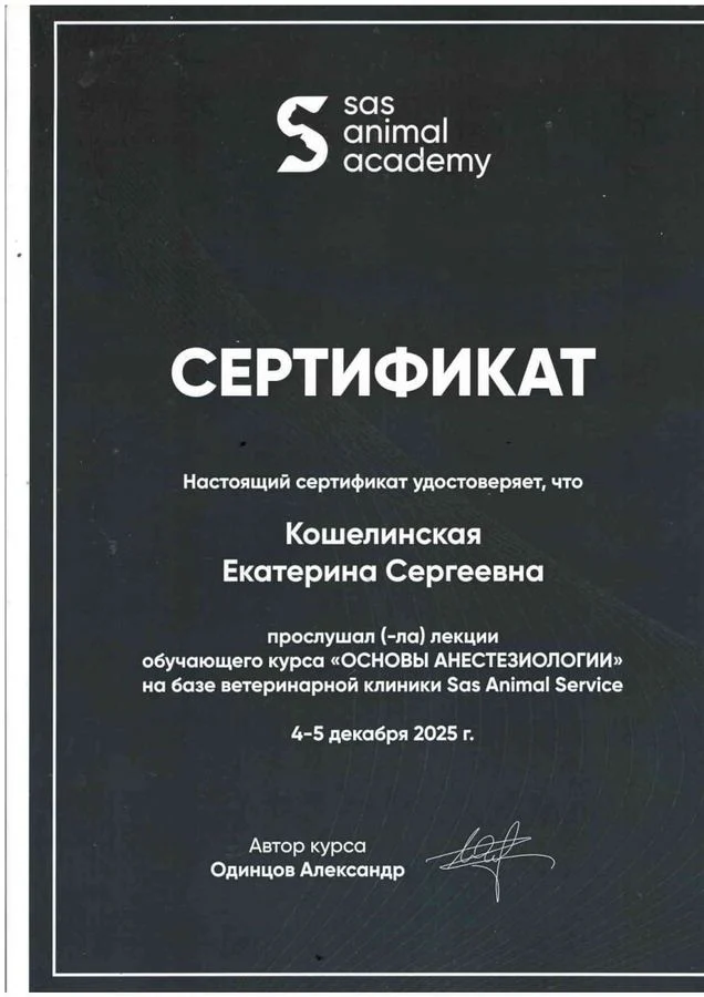 Документ: Кошелинская Е. С.