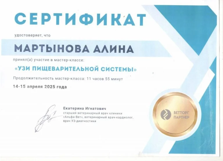Документ: Мартынова А. Б.