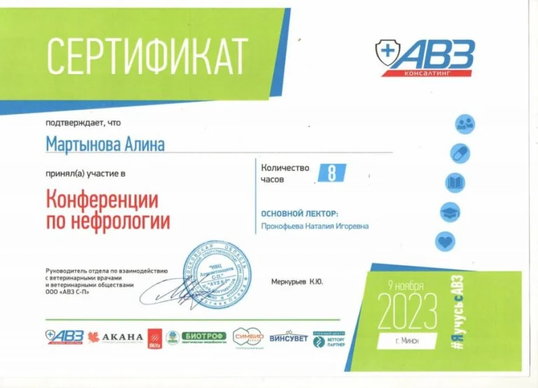 Документ: Мартынова А. Б.