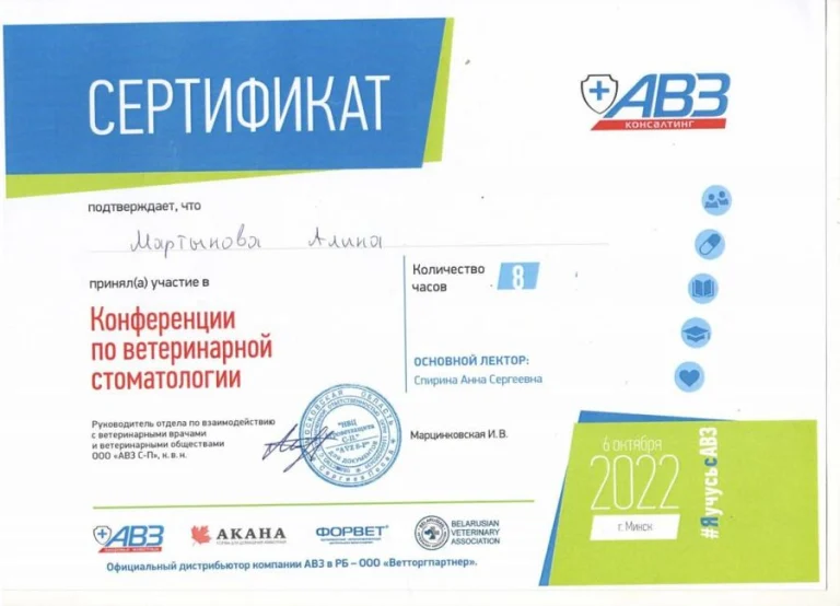 Документ: Мартынова А. Б.