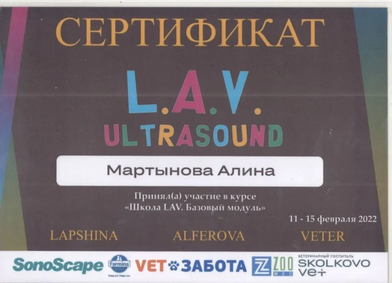 Документ: Мартынова А. Б.