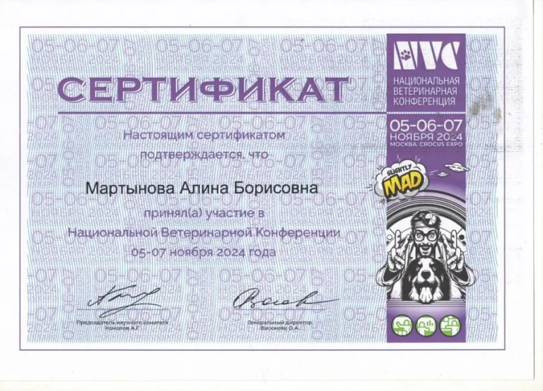 Документ: Мартынова А. Б.