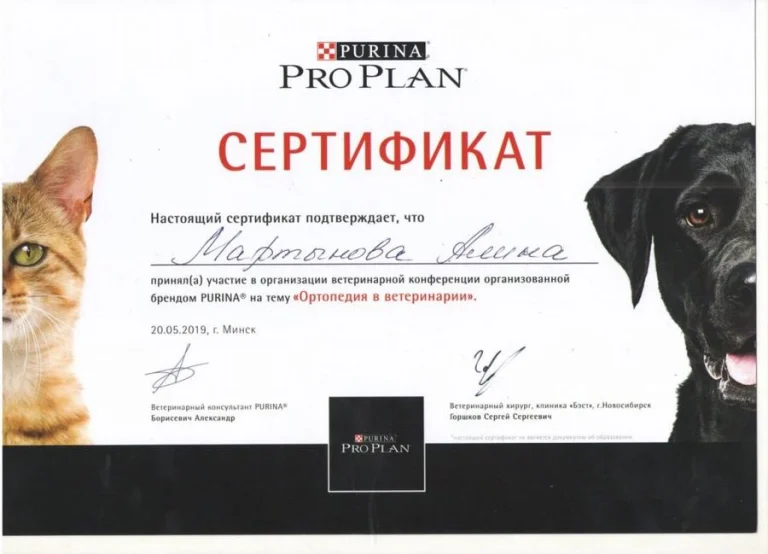 Документ: Мартынова А. Б.