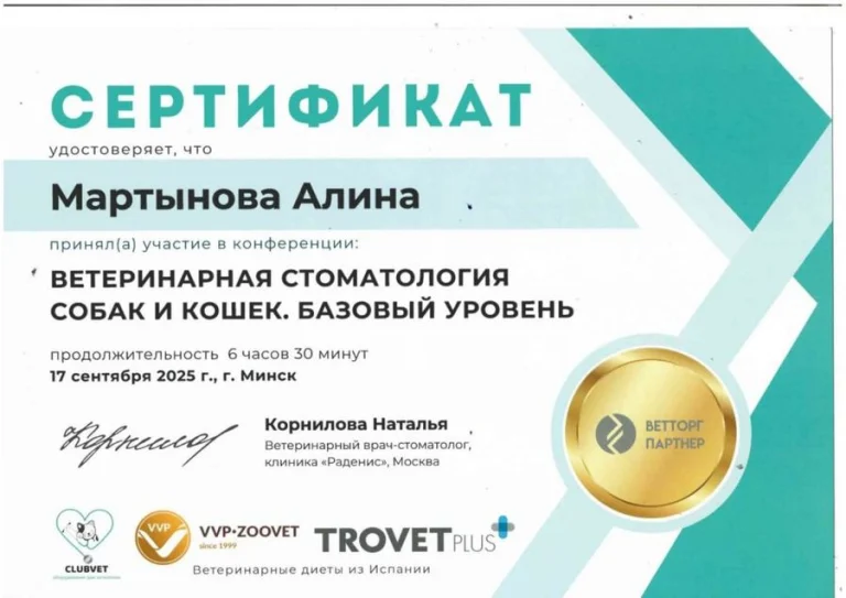 Документ: Мартынова А. Б.