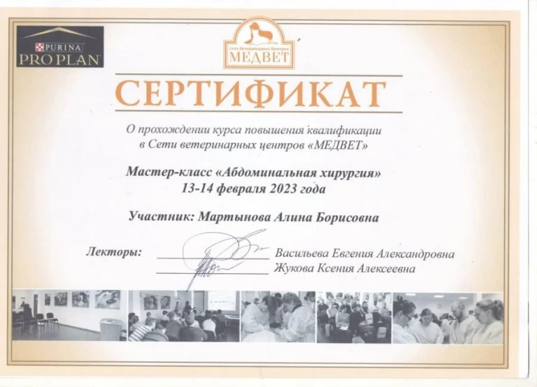 Документ: Мартынова А. Б.