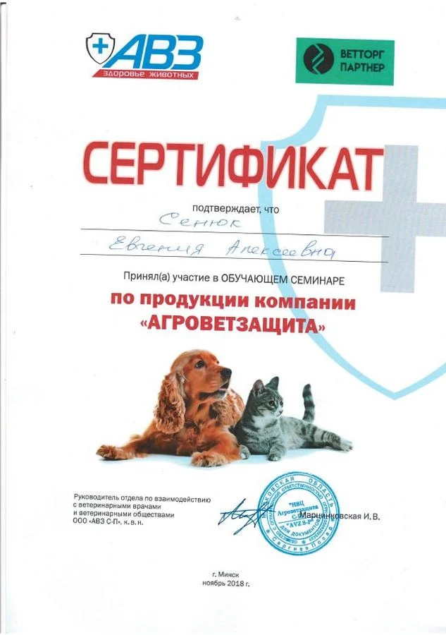 Документ: Сенюк Е. А.