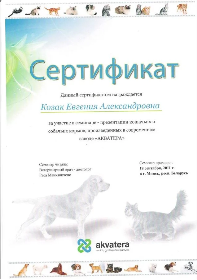 Документ: Сенюк Е. А.