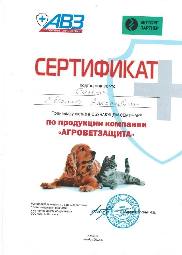 Документ: Сенюк Е. А.