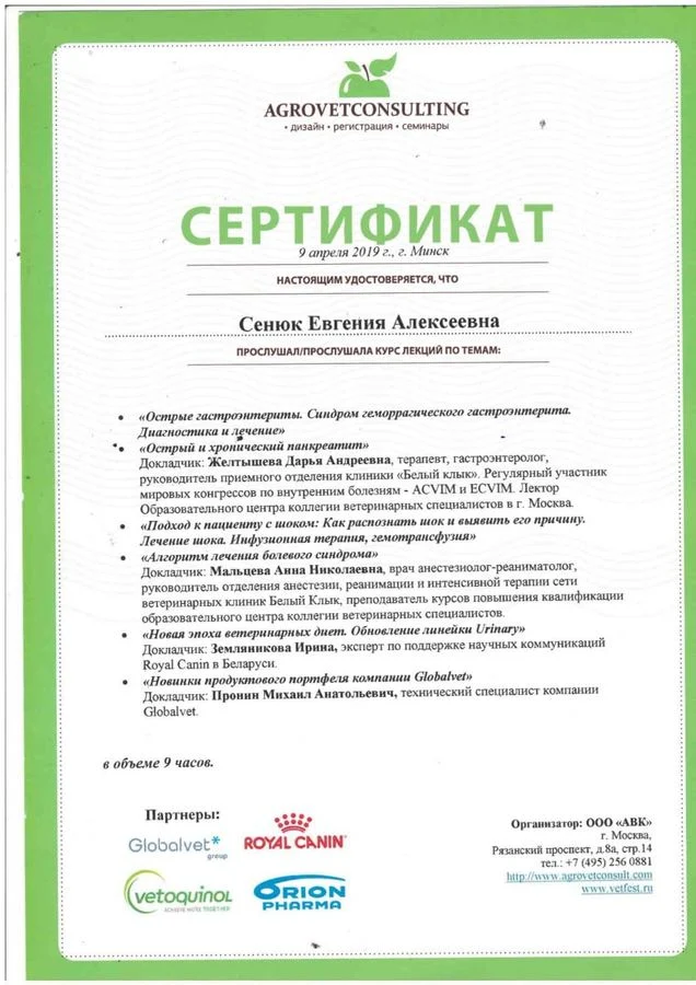 Документ: Сенюк Е. А.
