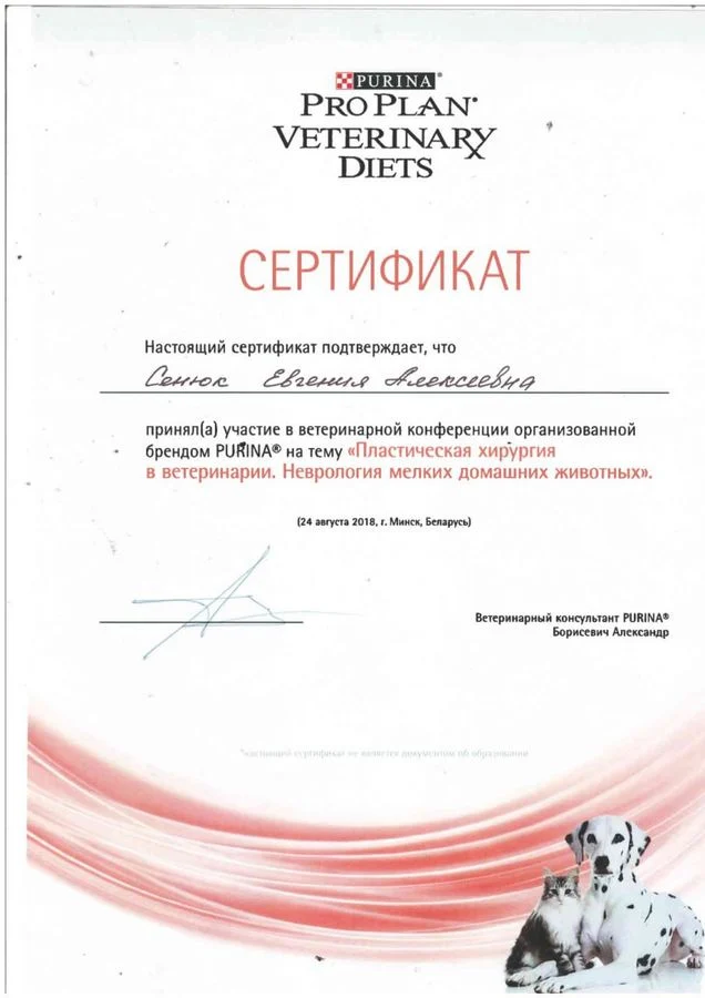 Документ: Сенюк Е. А.
