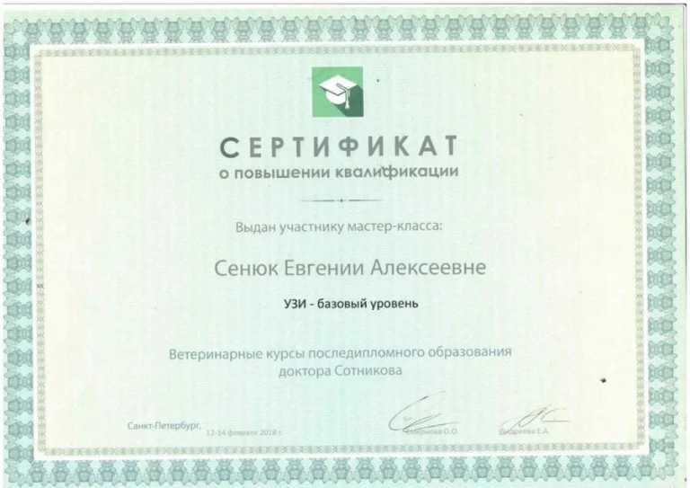 Документ: Сенюк Е. А.