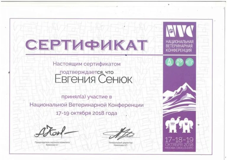 Документ: Сенюк Е. А.